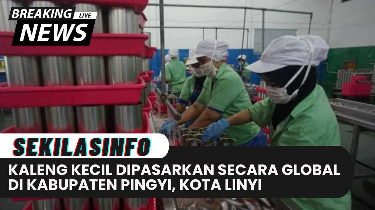 Kaleng Kecil Dipasarkan Secara Global di Kabupaten Pingyi, Kota Linyi